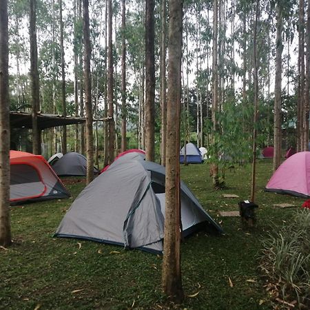 Murchison Backpackers Masindi ภายนอก รูปภาพ