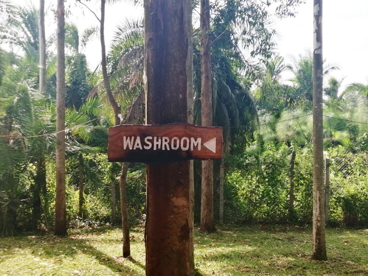 Murchison Backpackers Masindi ภายนอก รูปภาพ