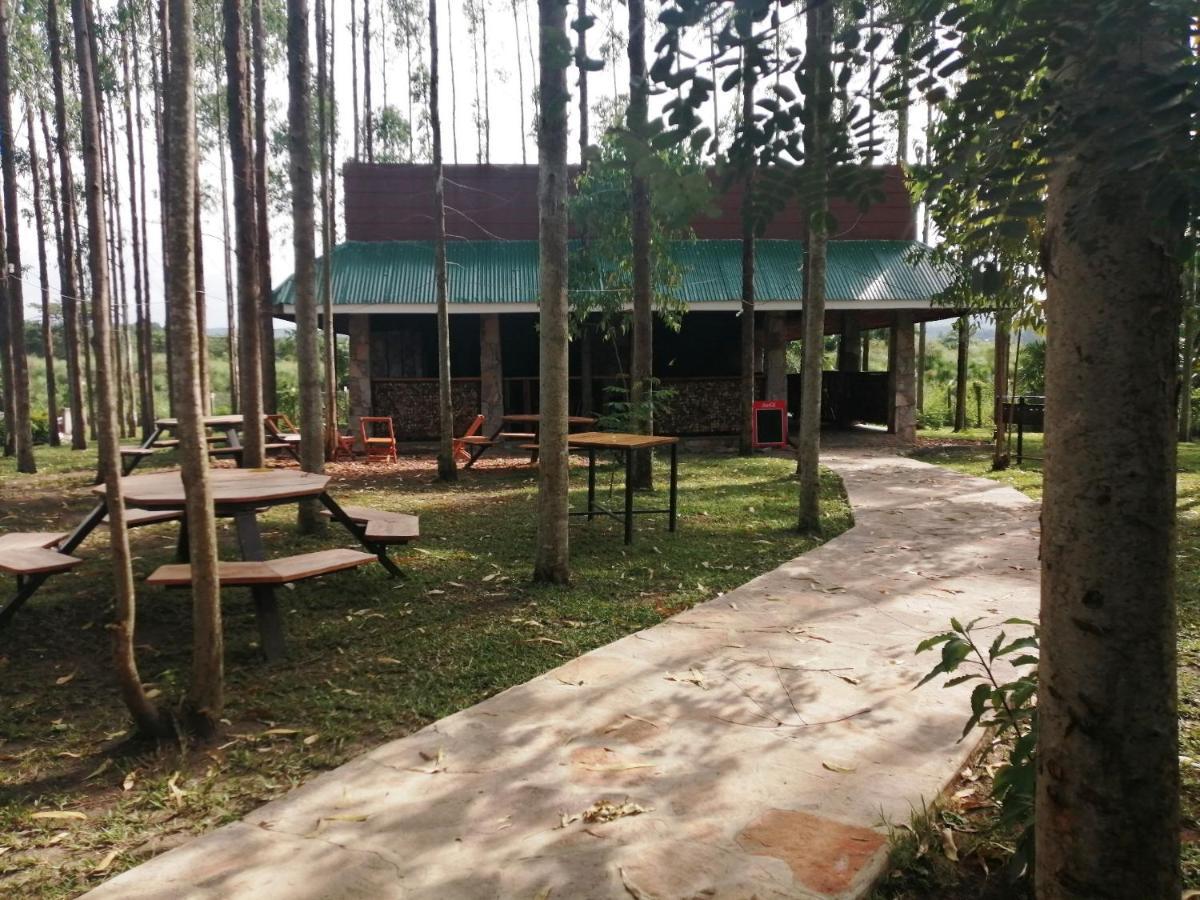 Murchison Backpackers Masindi ภายนอก รูปภาพ